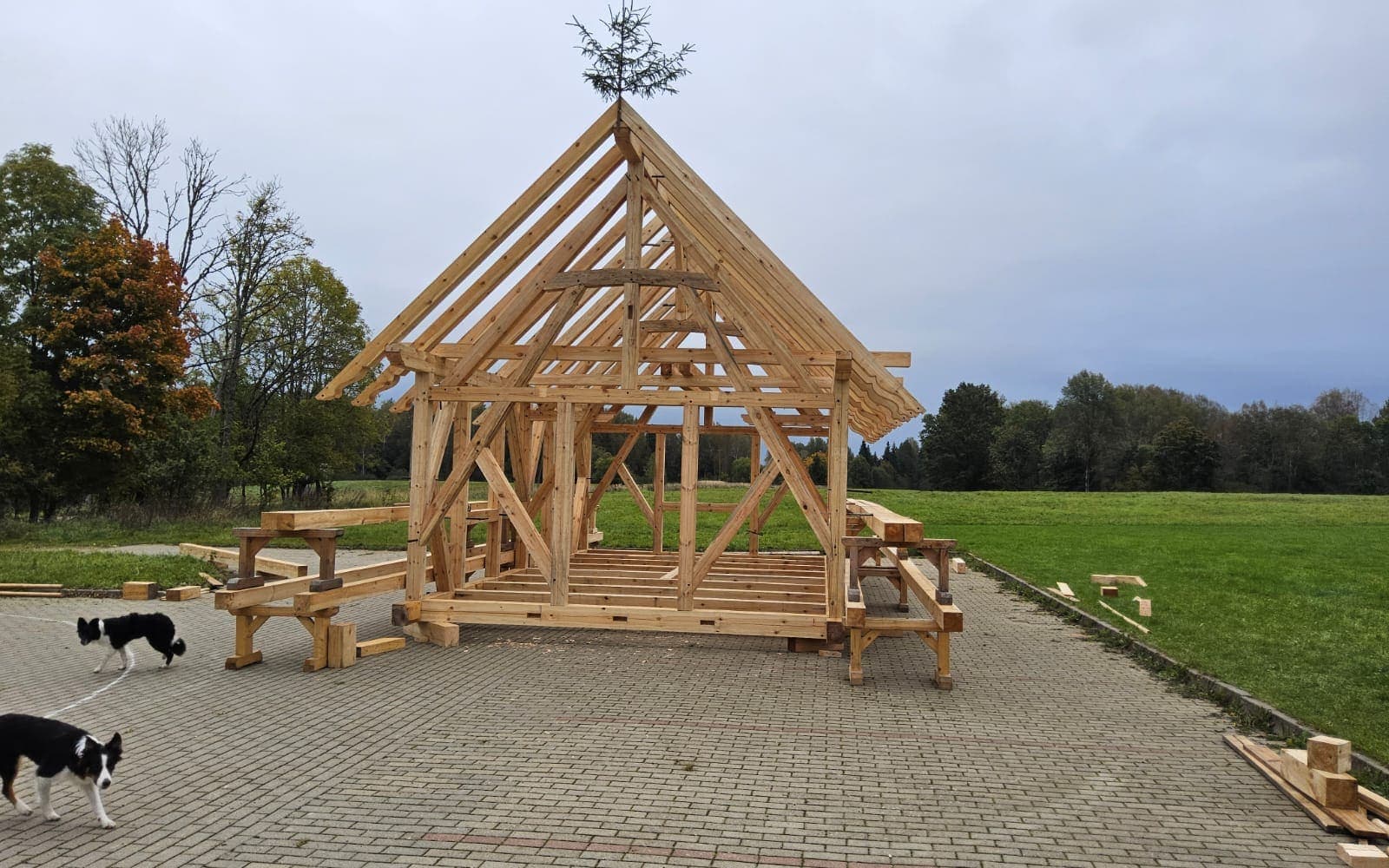 Finished course frame with a topping out tree on the ridge, two border collies in front