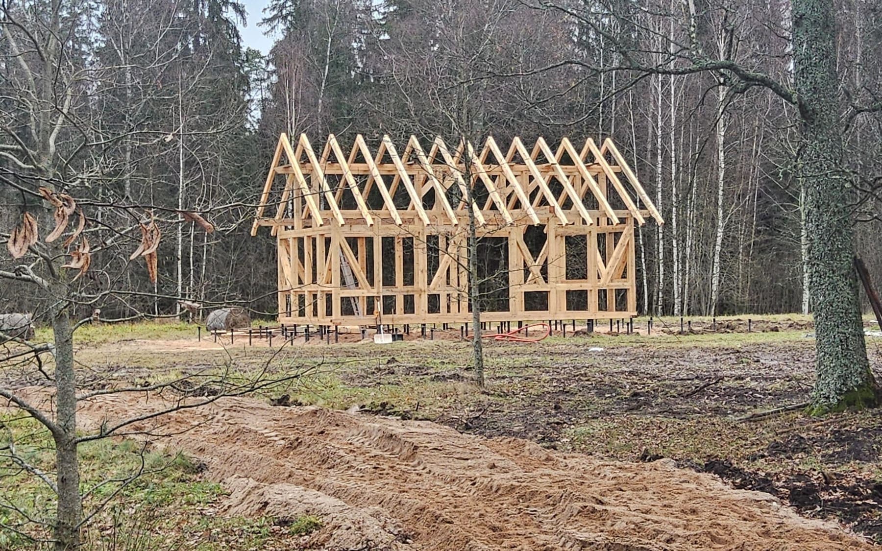 Komplet tømmerkonstruktion til et hus i en skovlysning